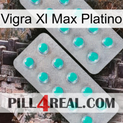 Vigra Xl Max Platinum 29